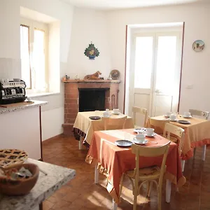 Grappoli Di Sole Rzym